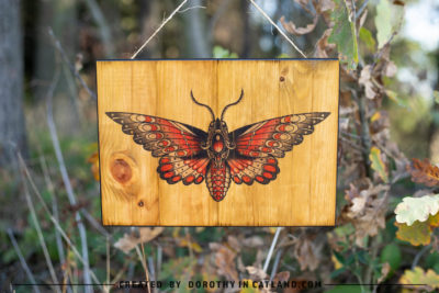 Dorothy in Catland - farmhouse wall decor with red moth art