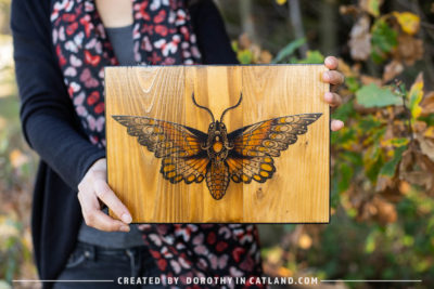 Dorothy in Catland - wall decor with yellow moth art - Obraz na ścianę z żółtą ćmą