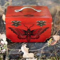 Dorothy in Catland - small treasure box - prezent dla kobiety