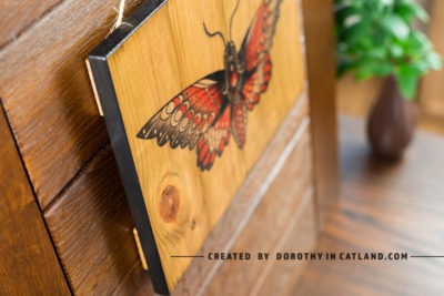 Dorothy In Catland - wood wall decoration with moth - Decorative farming style wooden picture