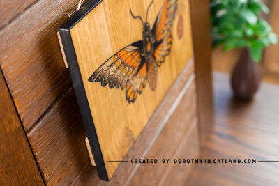 Dorothy In Catland - wood wall decoration picture with moth