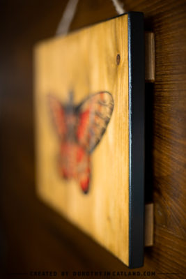 Dorothy in Catland - wooden picture with red butterfly