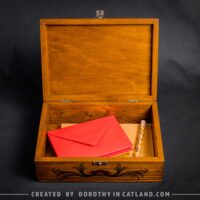 Dorothy-in-Catland-brown-box-with-red-moth