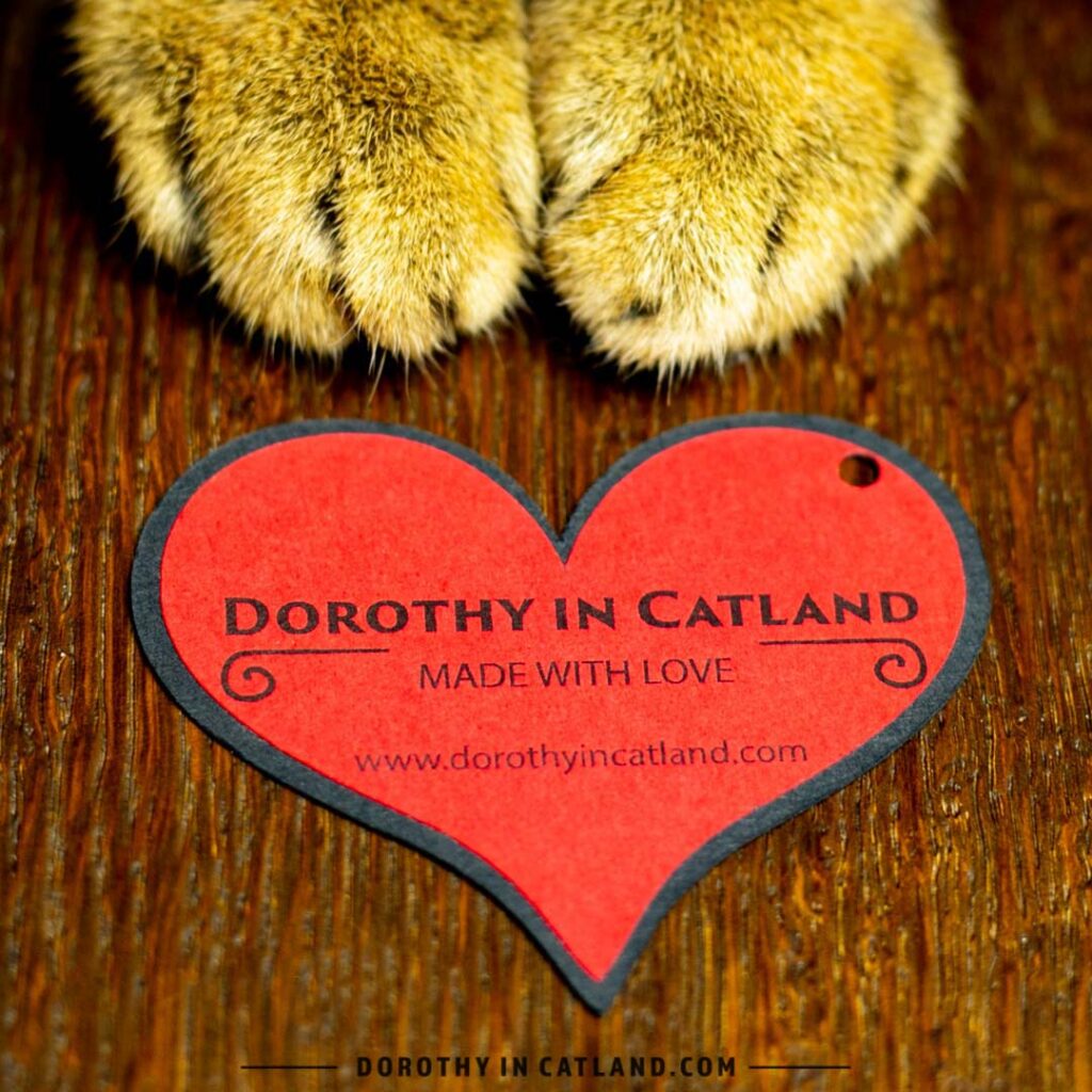 Dorothy in Catland - I love my cat