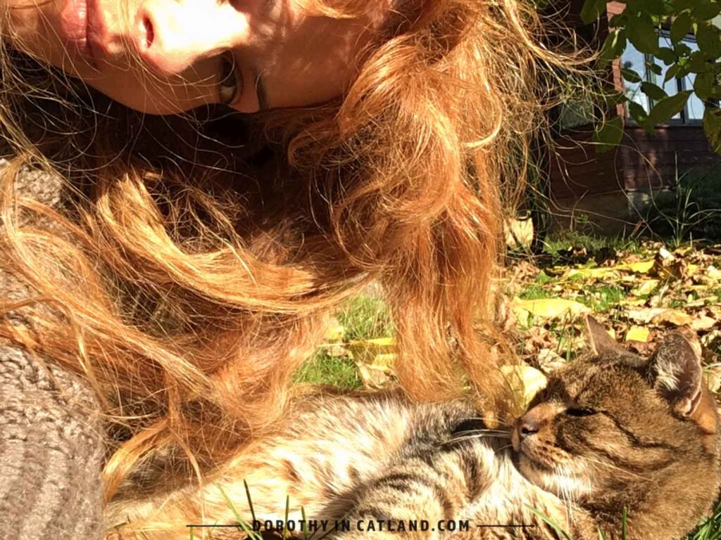 Dorothy in Catland - Dorothy and Pixel the cat