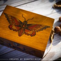 Dorothy-in-Catland-brown-box-with-red-moth-Duża brązowa skrzynka - shop-with-unique-gifts