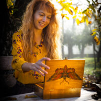 Dorothy-in-Catland-brown-box-with-red-moth