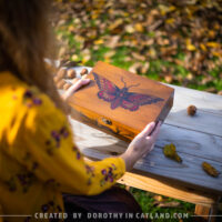 Dorothy-in-Catland-medium-sized-brown-box-with-red-moth - duża brązowa skrzynka