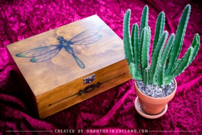 Dorothy in Catland - A box with a green dragonfly and 4 compartments - Skrzynka z zieloną ważką i 4 przegródkami