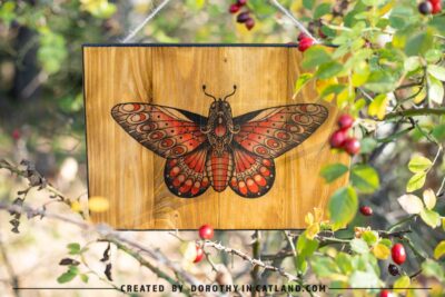 Dorothy in Catland - wooden picture with red butterfly - Farmhaus deco- Drewniany wiejski obrazek z czerwonym motylem
