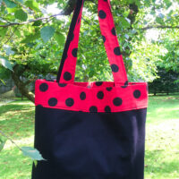 Dorothy in Catland - Black bag with red butterfly - Red bag with large black polka dots