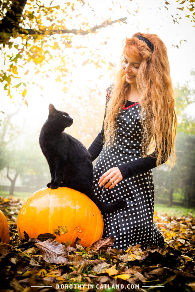 Dorothy in Catland - Beloved Fred and Dorothy