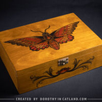 Dorothy in Catland - Wooden box with moth and 4 compartments