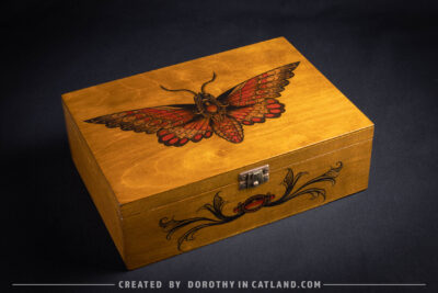 Dorothy in Catland - Wooden box with moth and 4 compartments