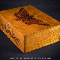 Dorothy in Catland - Wooden box with moth and 4 compartments
