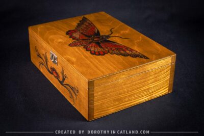 Dorothy in Catland - Wooden box with moth and 4 compartments