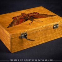 Dorothy in Catland - Wooden box with moth and 4 compartments