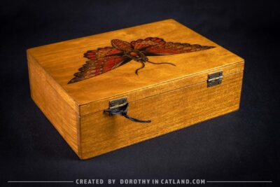 Dorothy in Catland - Wooden box with moth and 4 compartments