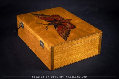Dorothy in Catland - Wooden box with moth and 4 compartments