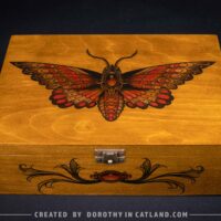 Dorothy in Catland - Wooden box with moth and 4 compartments - Drewniana skrzynka z ćmą i 4 przegródkami